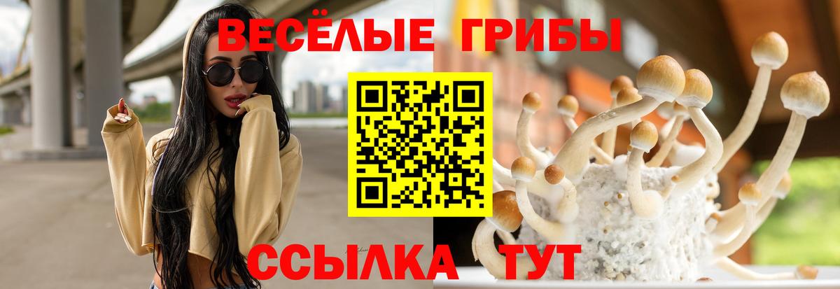 где можно купить   Вход с VPN  Ставрополь  Псилоцибиновые грибы MAGIC MUSHROOMS  Галлюциногенные грибы MAGIC MUSHROOMS 